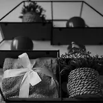 Roma 4Venti Cozy Hub